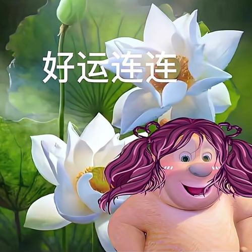 涞水县空调维修